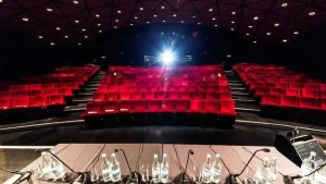 991642 14a1fd53c7024c2c9fc746e431f7f315mv2