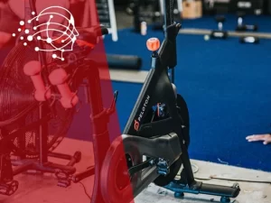 991642 4a447aae3f2f47188a3a879b932cdc06mv2