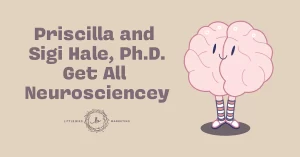 991642 5fc9a1a8c6854cd0ad34b1edccbdd28emv2